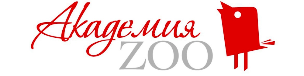 Академия Zoo каталог