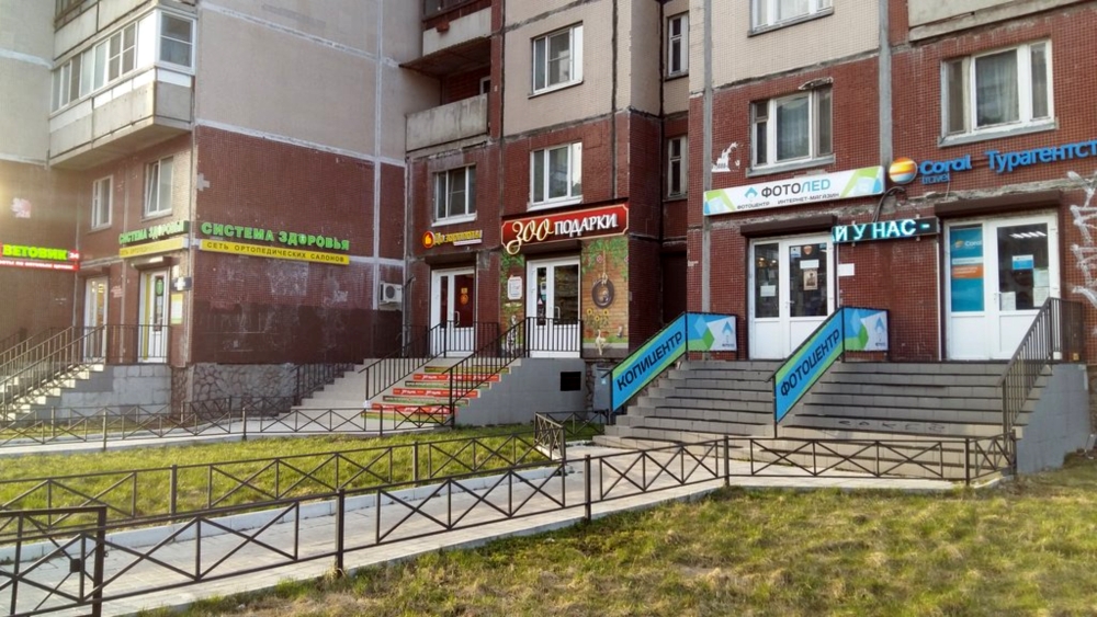 Зооподарки